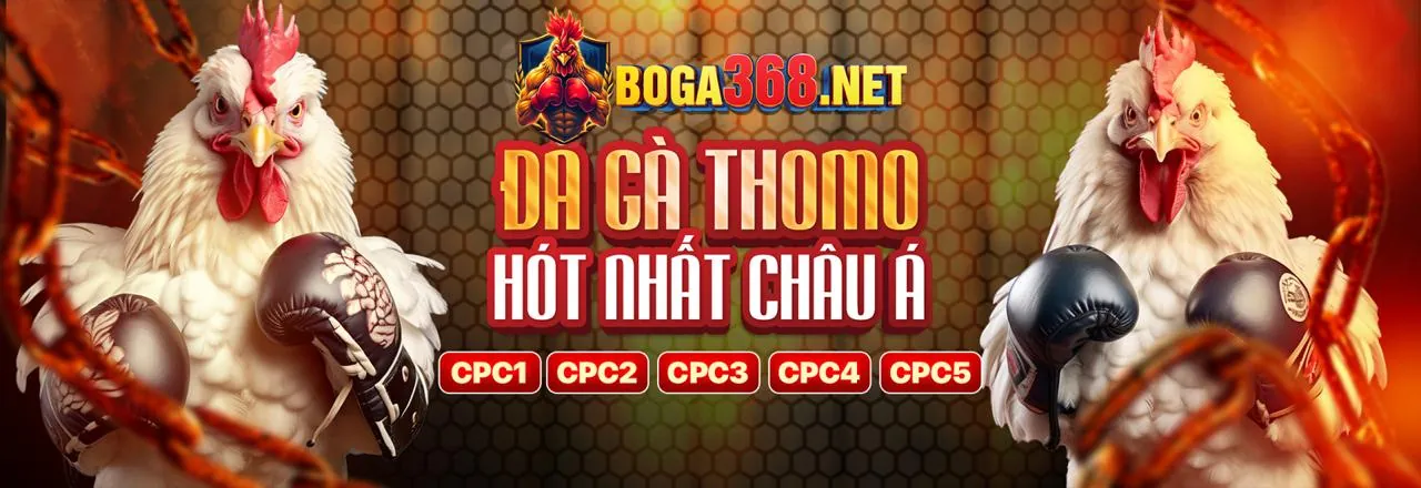 Đá gà trực tuyến kịch tính tại Dewabet link mới